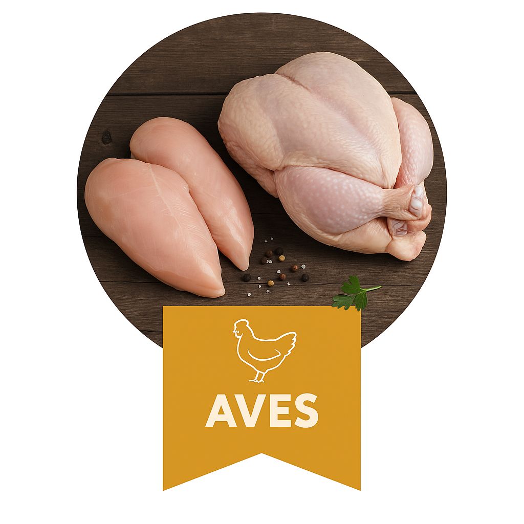 Aves